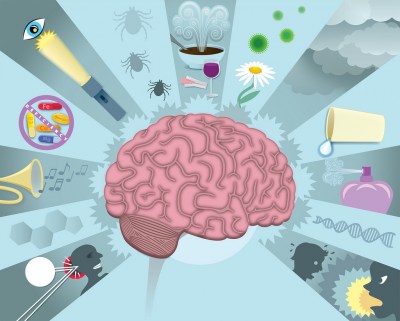 Migraine - Symptoms, Treatment & Clinical Trials