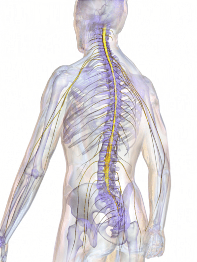 Medical Devices - Intrathecal Drug Pump Therapy Chronic Pain