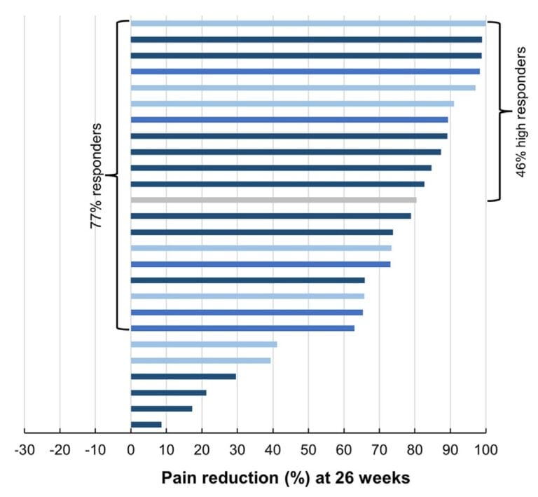 A Novel, Paresthesia-Free Spinal Cord Stimulation Waveform for Chronic Neuropathic Low Back Pain: Six-Month Results of a Prospective, Single-Arm, Dose-Response Study