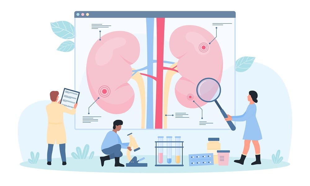 Home - Research,Research Service,Research institute,Genesis Research Services,Clinical Trials Cartoon illustration of clinical researchers analysing kidneys for chronic kidney disease treatments